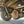 Load image into Gallery viewer, 2003 Dodge Ram 2500 MANUAL TRANSMISSION - CUMMINS 5.9 DIESEL - FOR SALE -
