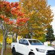 Load image into Gallery viewer, hokkaido rental car
