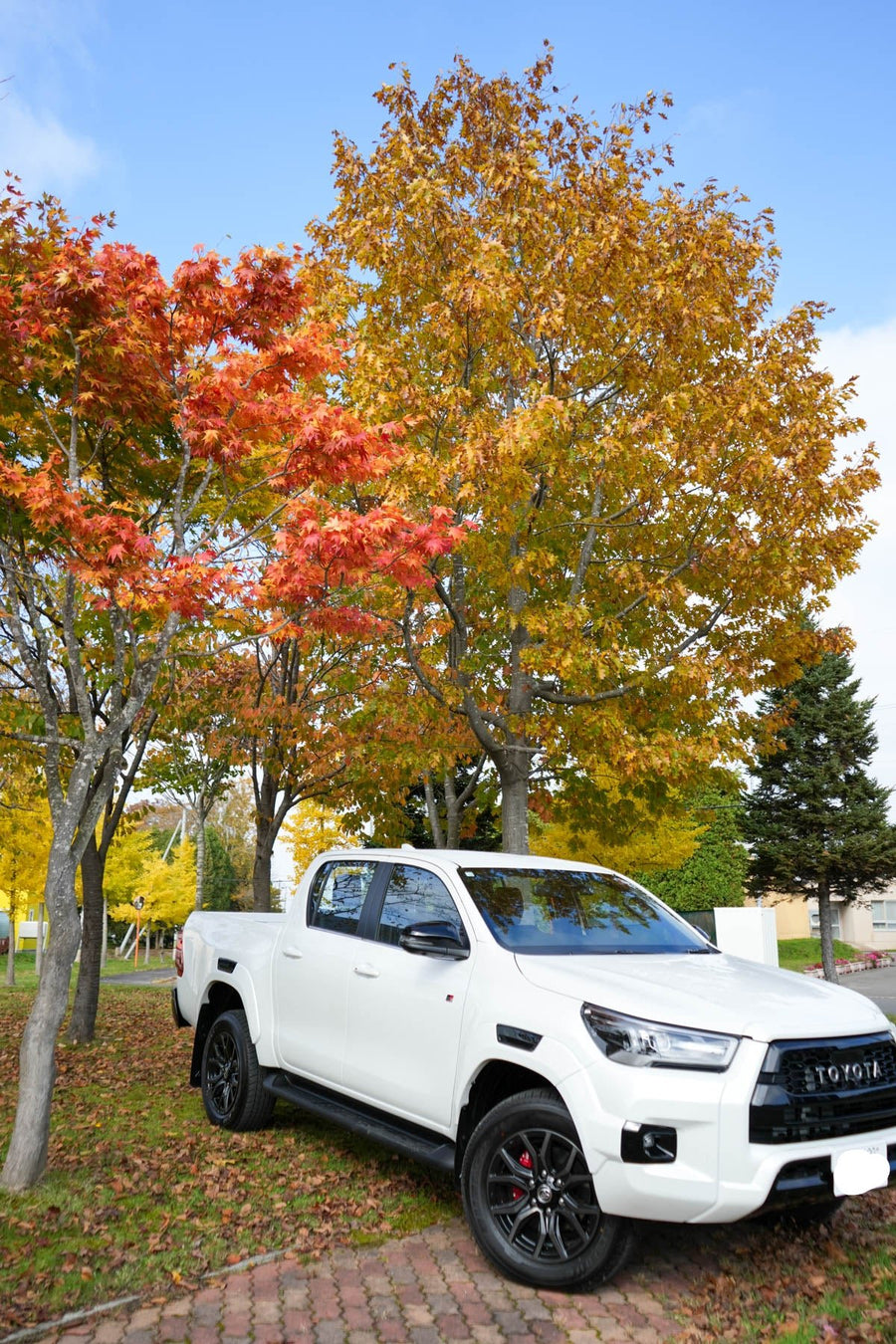 hokkaido rental car